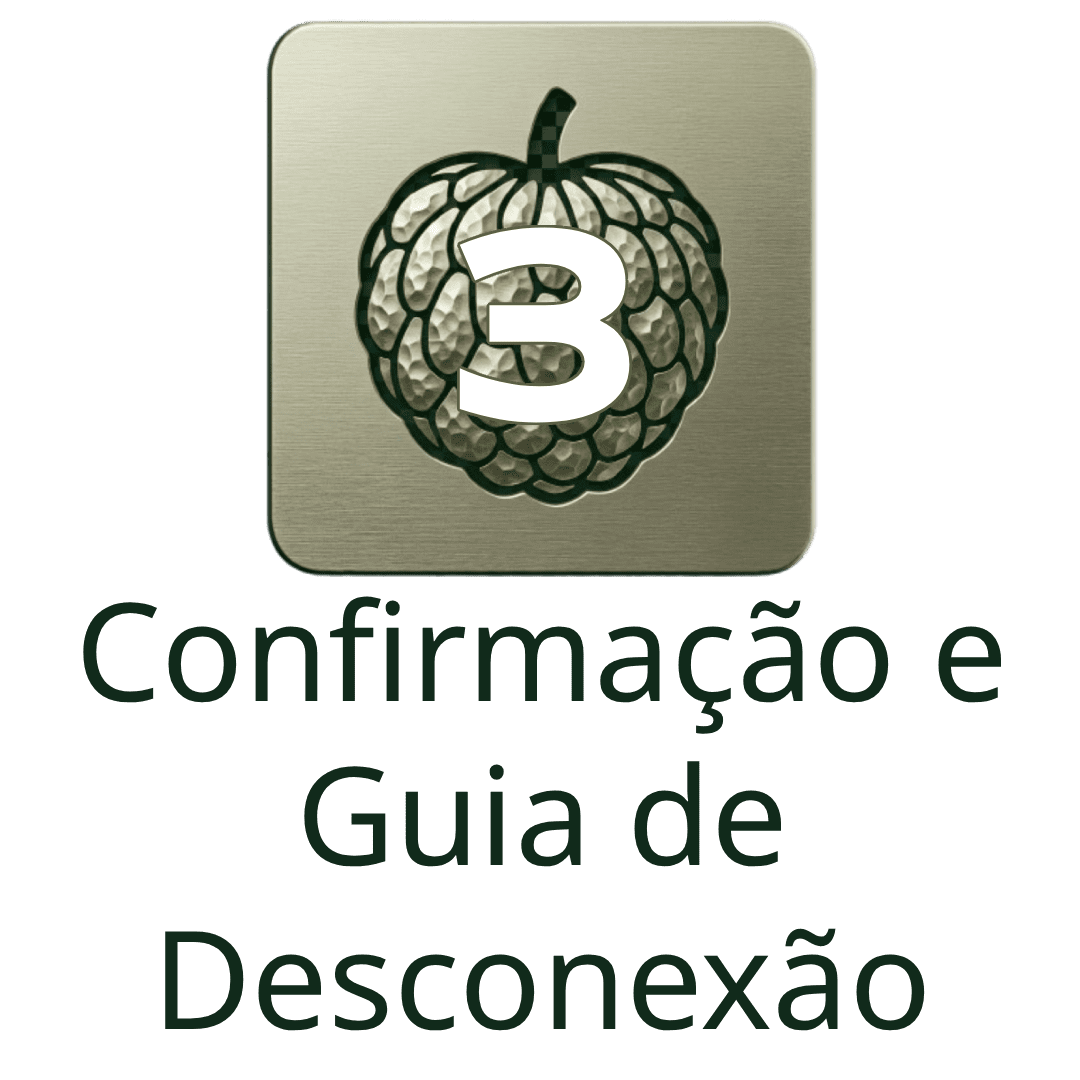 terraco-do-conde-etapas-modulo-visual-confirmacao-e-guia-de-desconexao